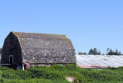 Skagit County Barn