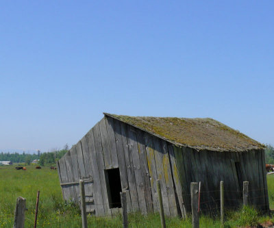 Skagit County Barn