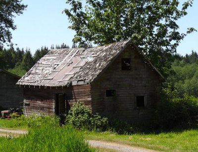 Skagit County Barn