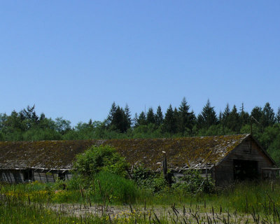 Skagit County Barn