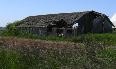 Skagit County Barn