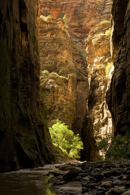 Narrows