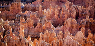 Hoodoos in Bryce