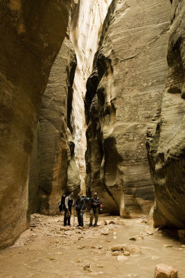 Narrows