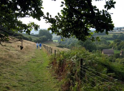 Path near Roadwater -2