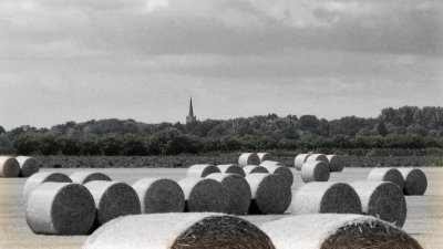 Rural scene with the Vorst church