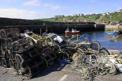 Crail Harbour.