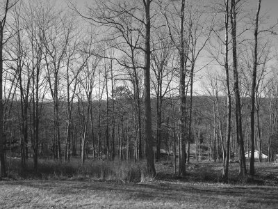 Fall 2006