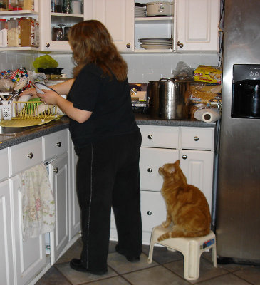 February 2007 Birthdays