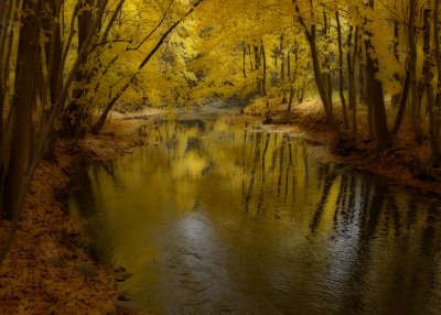 Pike River - Fall