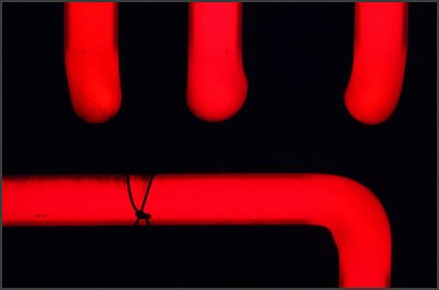 Abstract 1