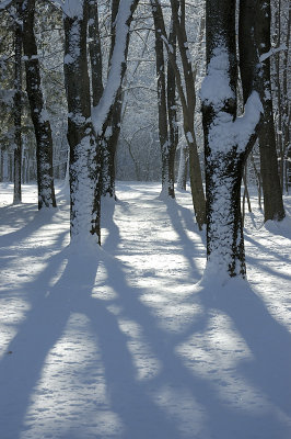 Winter