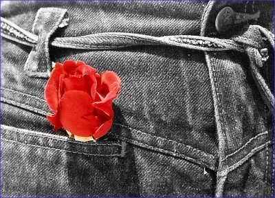 rose&jeans