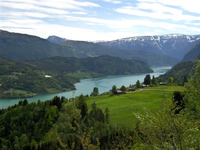 A Ulvik above fjord    1231