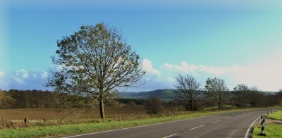 SOUTH DOWNS VIEW