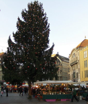 Markt Platz Christmas tree