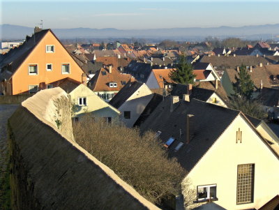 Breisach rooftops