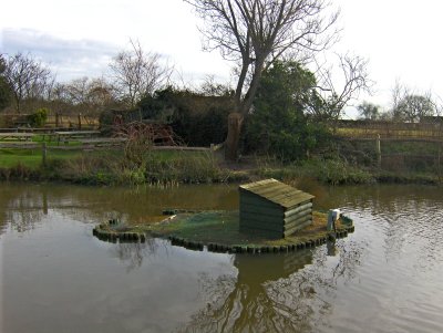  VILLAGE INN POND