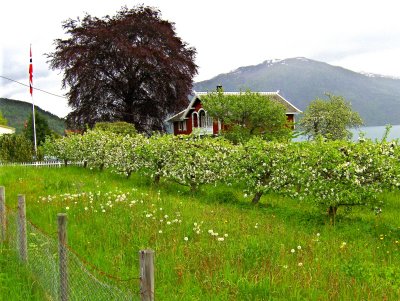 Balestrand villa & orchard
