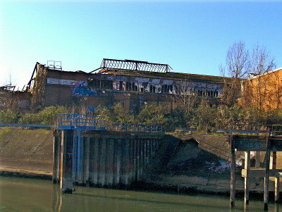 Rhine 2