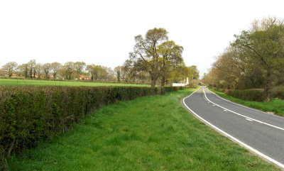 THE ROAD TOWARDS PARTRIDGE GREEN