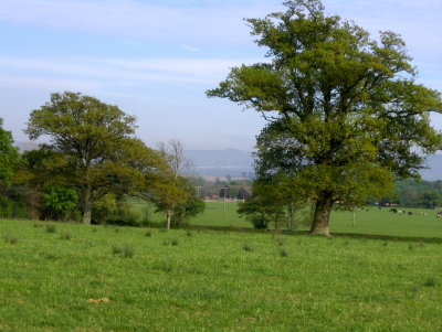 LOOKING TOWARDS STEYNING