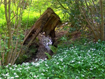 A BY THE CHAPEL FOOTPATH 797