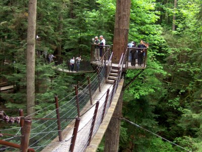 TREETOP WALKWAY