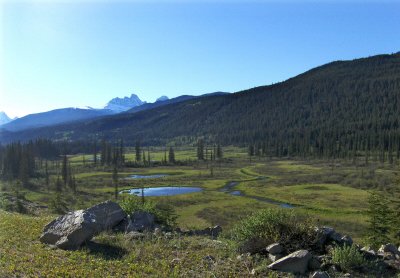  MARSHY LAND 