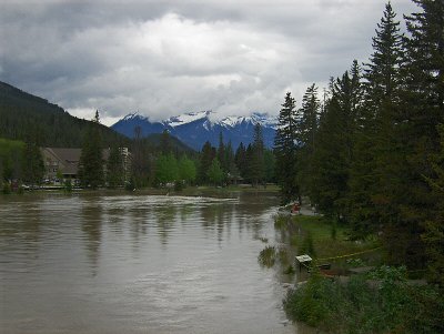 BOW RIVER . 1