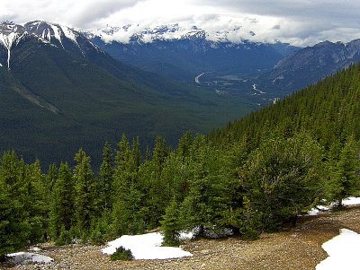 VIEW FROM SULPHUR  MOUNTAIN