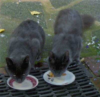 SMOKEY & HIS WIFE