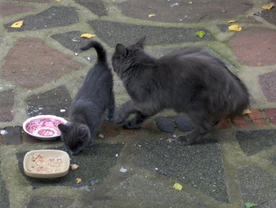 MUM PUSHED OUT OF THE WAY!