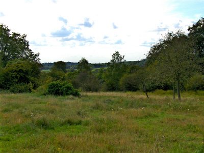 BURY HILL VIEW