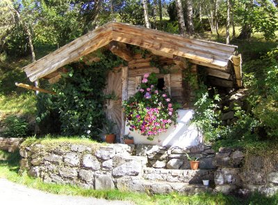 A CUTE GARDEN SHED   1781