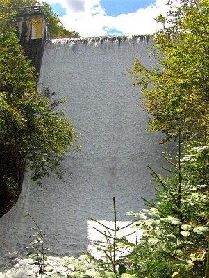 CASCADE FROM LAKE DOWN INTO GORGE