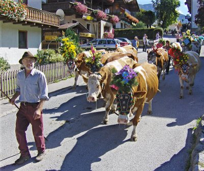 AUFFACH TYROL & THE ALMABTRIEB 2007