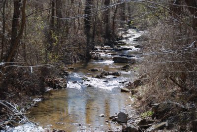 DSC_0016.JPG