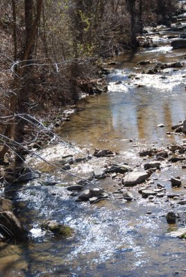 DSC_0017.JPG