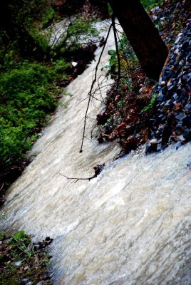 pathway_creek.jpg