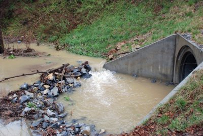 pathway_creek03.jpg
