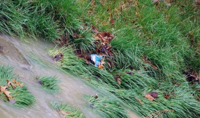 pathway_trash.jpg