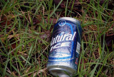 pathway_trash02.jpg