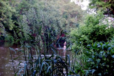 LittleRiver06.jpg