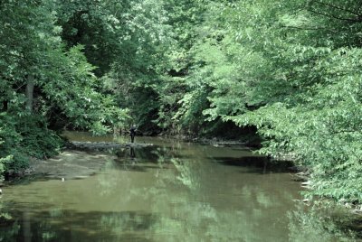 Creek.jpg