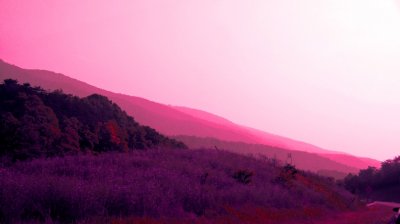 Drive03.jpg
