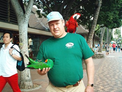 GONE TO THE BIRDS.JPG