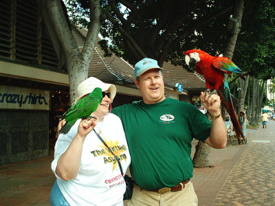GONE TO THE BIRDS2.JPG