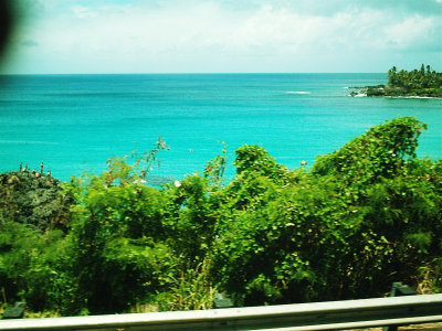 IM000128_048.jpg