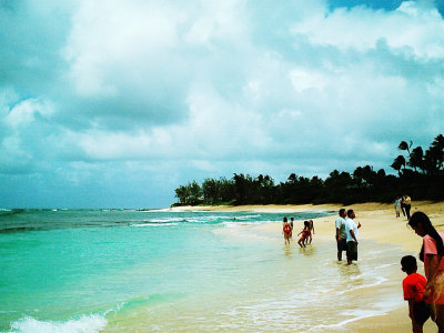 NORTH SHORE.jpg